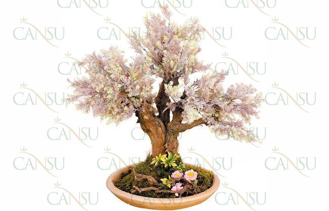 Yapay Bonsai, Model No: CT-02-174